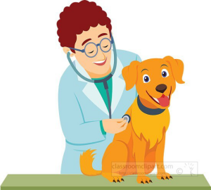 sistema de controle de veterinárias