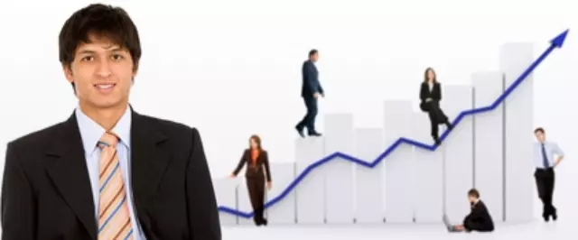 Softwares de Gestão Empresarial